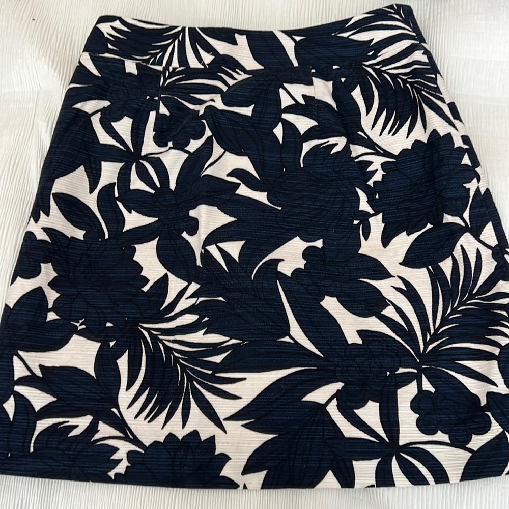 Ann Taylor A-Line Skirt